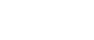 ZIGLER SEGUROS