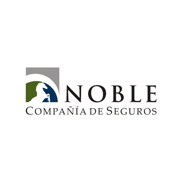 NOBLE SEGUROS